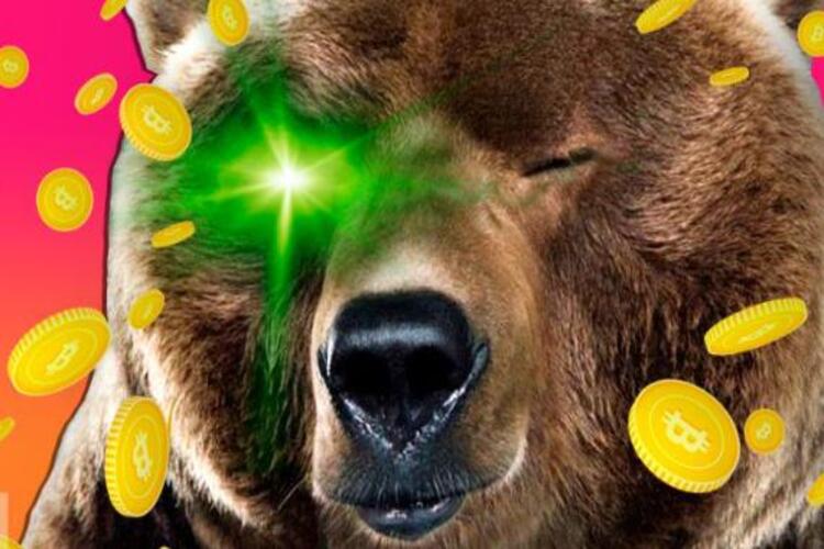 สลัดหมีออก นักลงทุนผลักดันกระแส Crypto ที่ไหลเข้ามากที่สุดแห่งปี